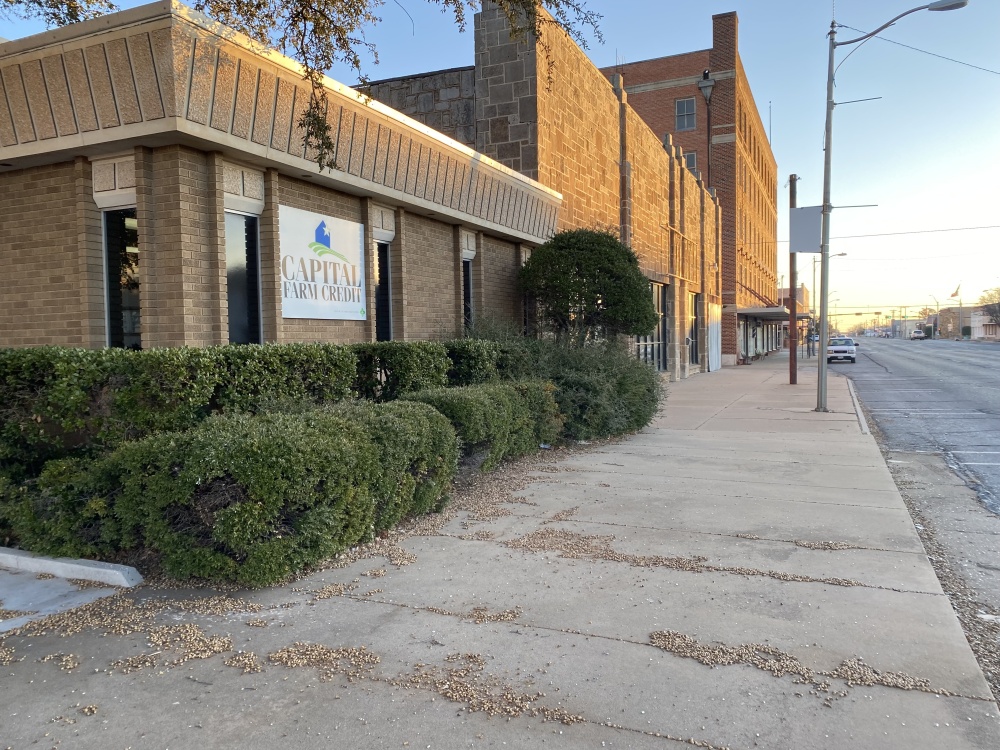 Capital Farm Credit 01