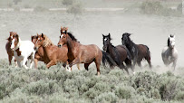 Mustang Lending, LLC 02
