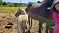 Cash Lovell Stables & Riding Academy 02