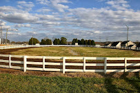 Cash Lovell Stables & Riding Academy 04