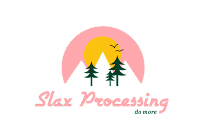Slax Processing 02