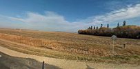 Allison Kvien Roseau County Realtor 01