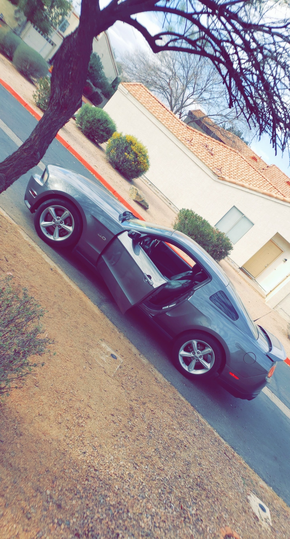 Cash & Credit Auto Sales 01