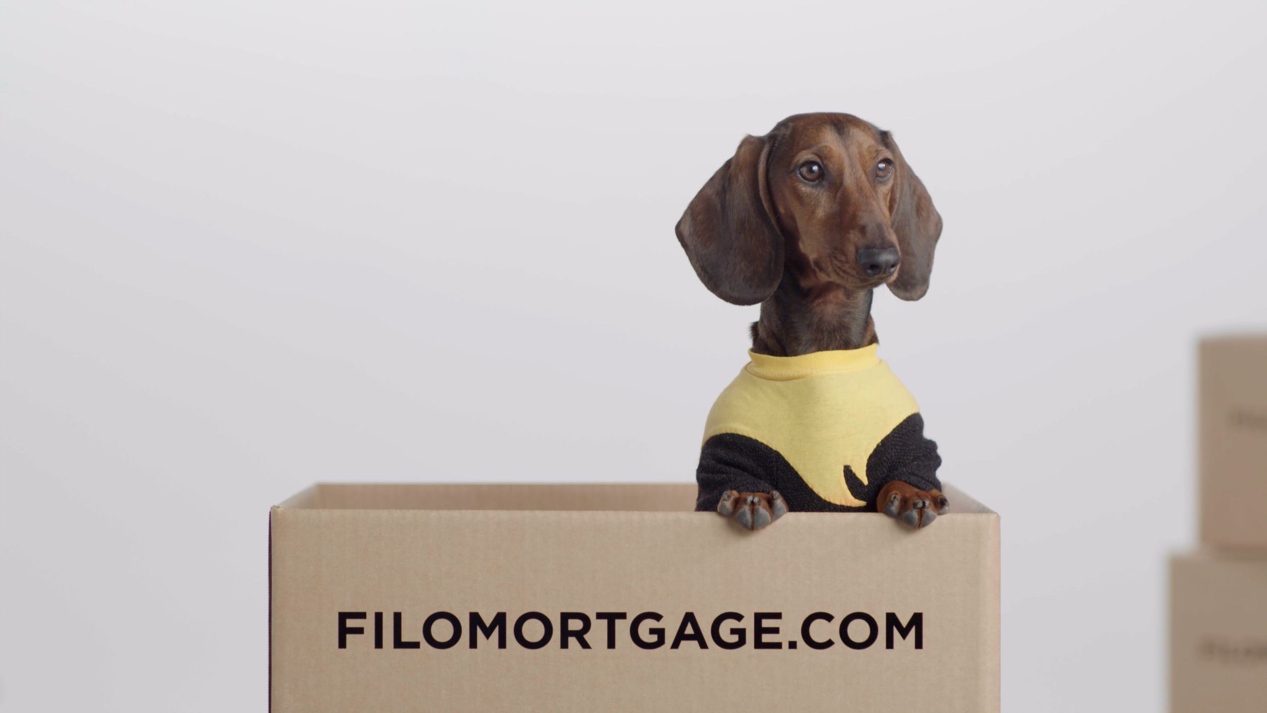 Filo Mortgage, LLC 01