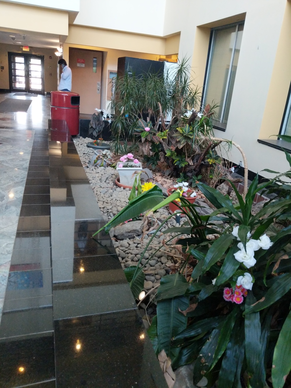 Pandya Kapadia & Associates; CPA 01