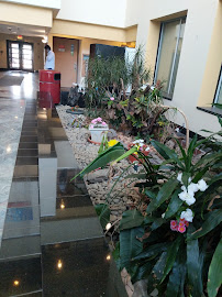 Pandya Kapadia & Associates; CPA 01