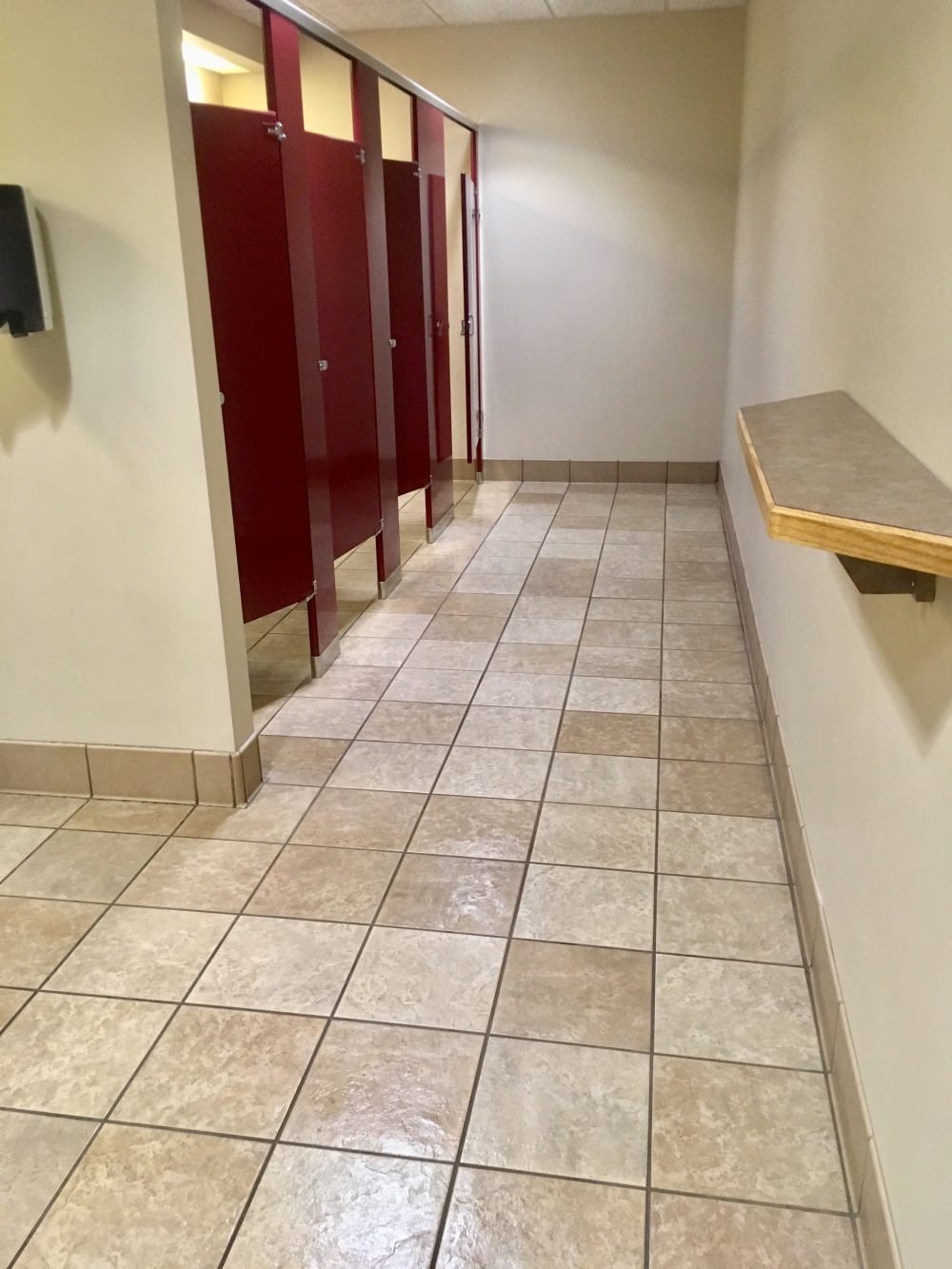 Divine Hands Cleaning & Pet sitting LLC 01