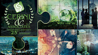 Cerini & Associates 03