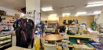 Gold'n Pawn 01