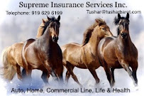 Supreme Insurance Services Inc. 02
