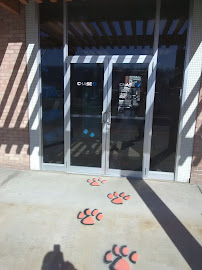 Chase Bank 04