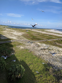 Dauphin Island Real Estate 03