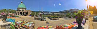 Bluemel's Garden & Landscape Center 04