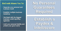Jones Business Credit Services LLC/ Jones Tax Services 03