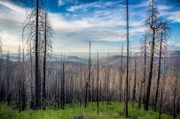 Hodgdon Meadow Campground 03