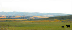 First Bank of Montana 01