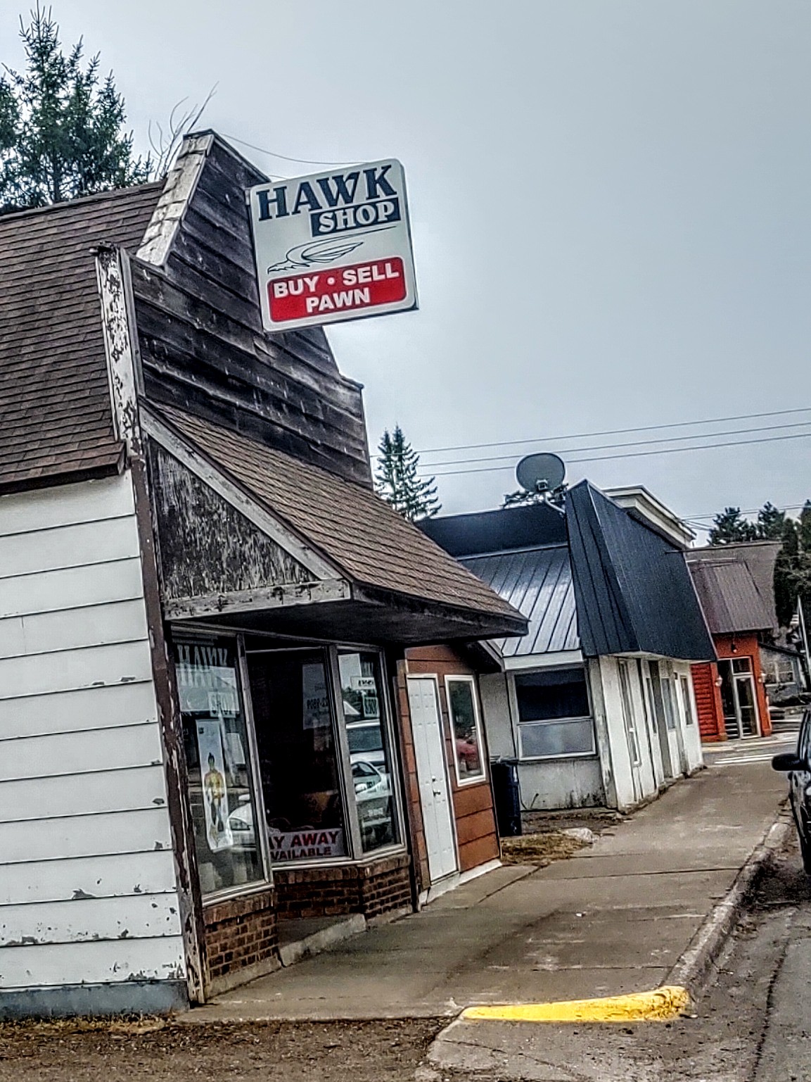 Hawk Shop 01