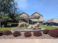 Whitetail Properties Real Estate, LLC 03