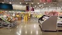 Meijer 04
