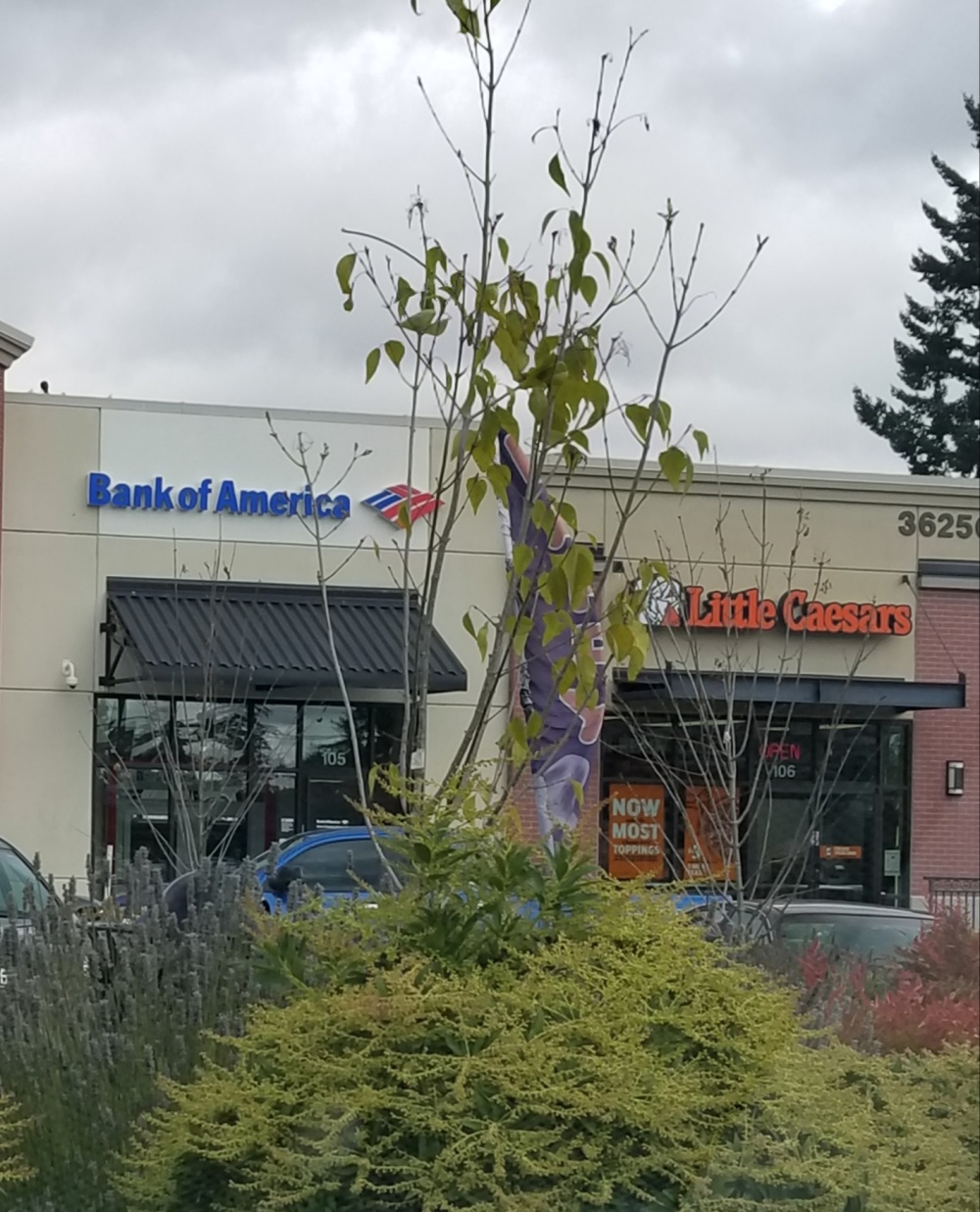 Bank of America ATM 01
