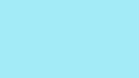 BitOSunshine: Kami Feldman, Mortgage Broker NMLS #1963492 02