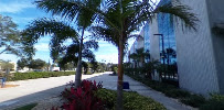Space Coast Credit Union | Near Baytree | Melbourne, FL 04