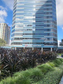 Texas Capital Bank 02