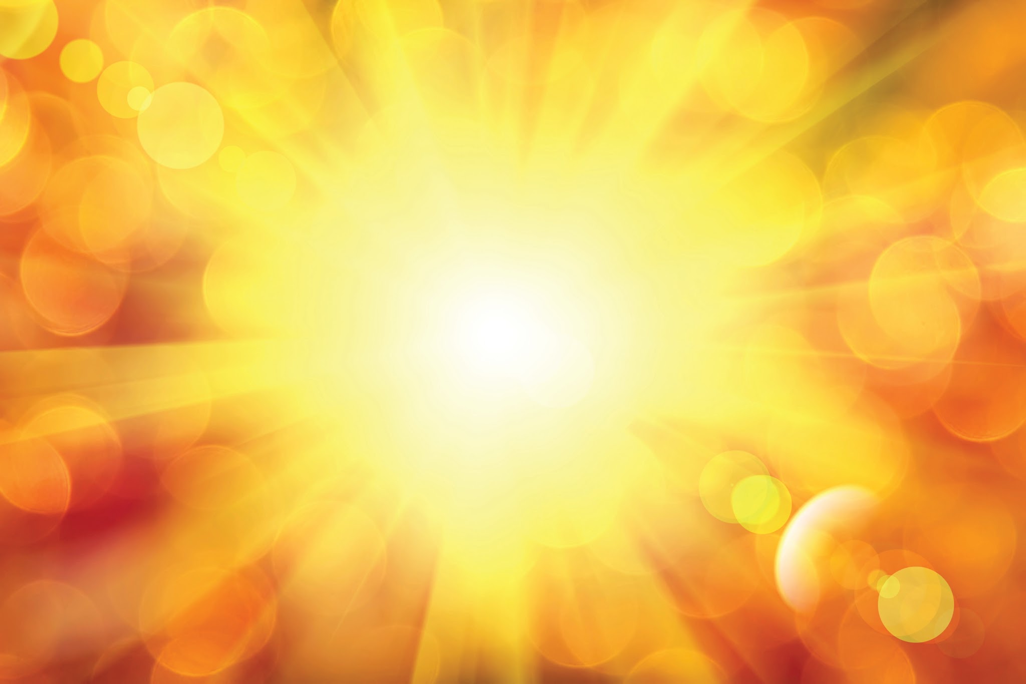 Sun Federal Credit Union 01