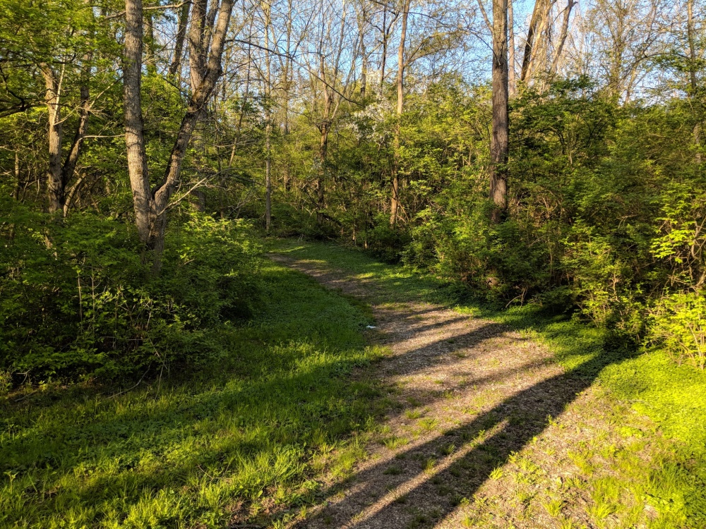 Camp Dennison Nature Trail 01