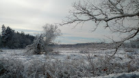 Charles River Bank Bellingham 02