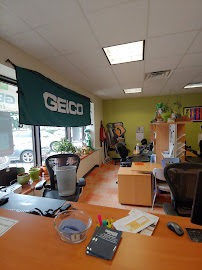 GEICO Insurance Agent 01