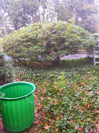 Pristine Property Maintenance of Cape Cod 03