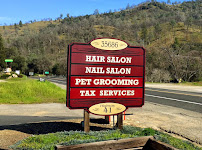 Nelson Miller & White CPAs 01