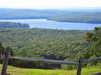 Wallenpaupack Realty 02