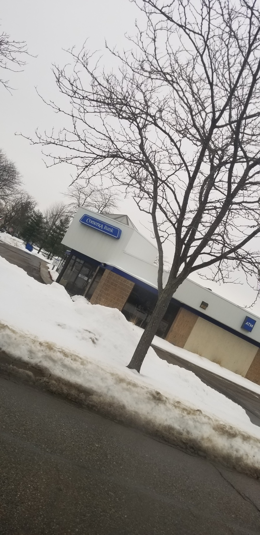 Comerica Bank 01