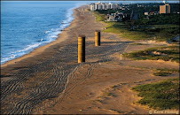 City2Beach at Long & Foster Real Estate 02