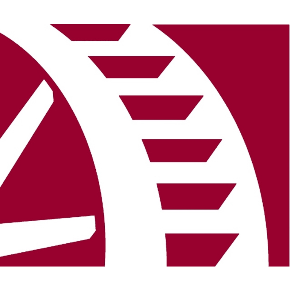 Brandywine Financial Group, Inc. 01