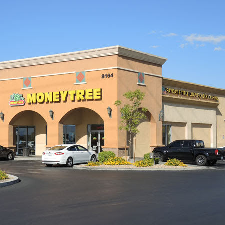 Moneytree 01