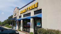 Moneytree 01