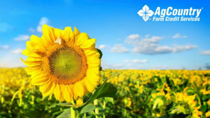 AgCountry Farm Credit Services 01