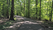 Loantaka Brook Reservation 01