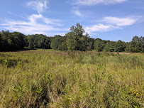 Loantaka Brook Reservation 03