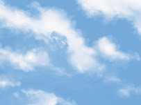 Sky Financial Services, Inc. 01