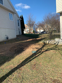 Allen's Lawn & Tree Services Inc 01