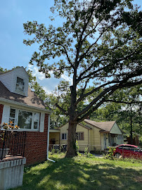 Allen's Lawn & Tree Services Inc 03