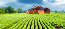 Rural Housing Service Loans 01