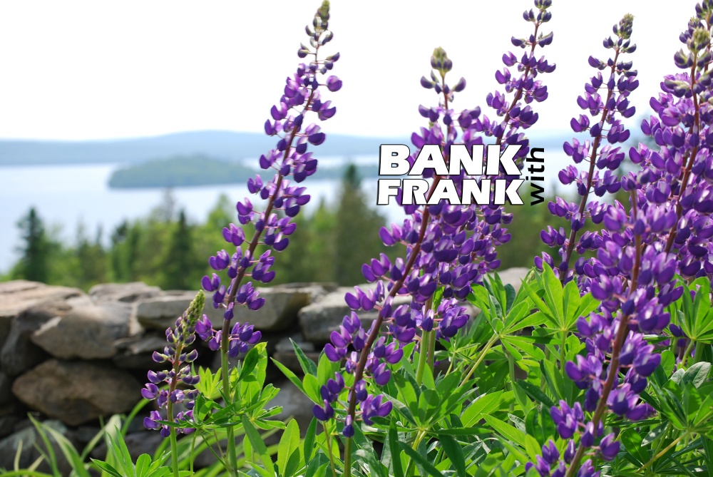 Franklin Savings Bank 01