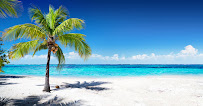 Coconut Funding Corporation 04