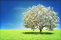 Abundant Financial Solutions 01