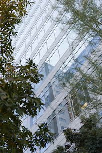 Western Alliance Bank 02